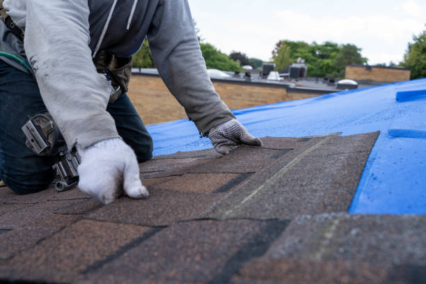 Roof Installation Near Me in Cadiz, OH
